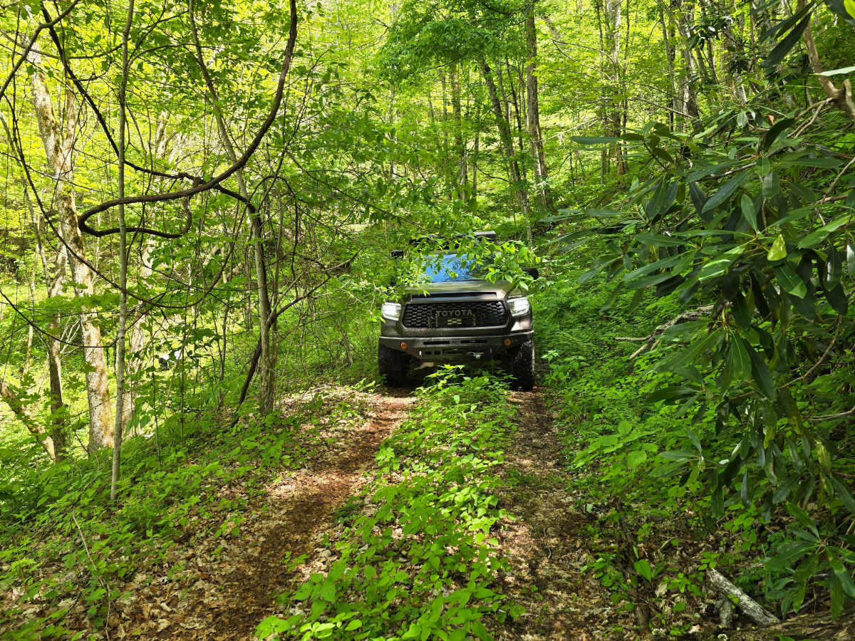 Shell Stand Road trail photo