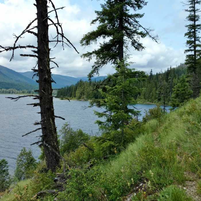 Near Idaho Trail #58
