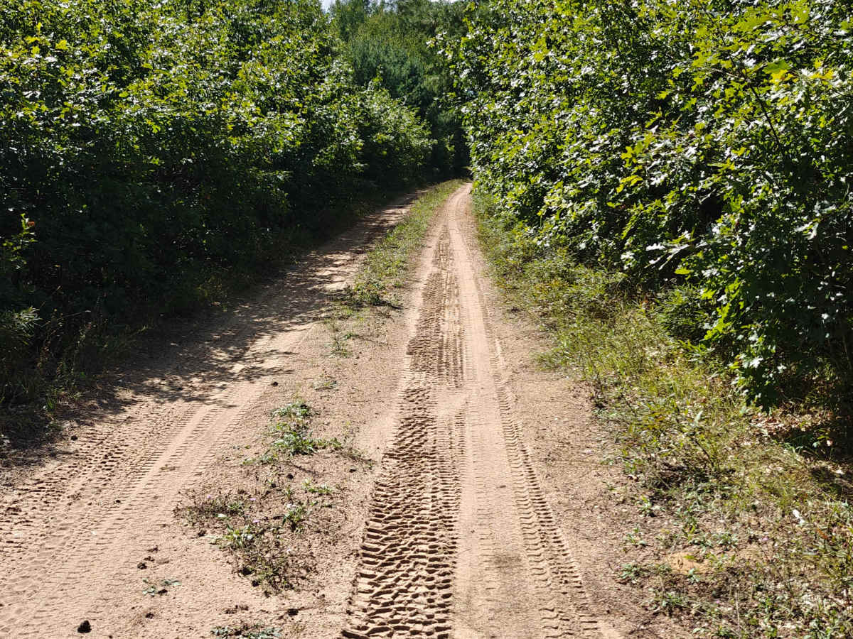 Oil Pump Trail trail photo