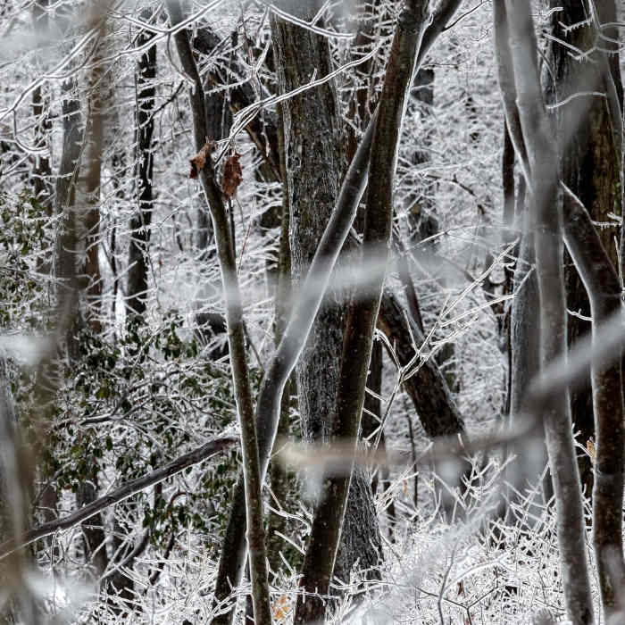 An ice storm helps White Trail in Mahlon Dickerson Reservation lived up to it's name. Near The Highlands Trail - NJ Section