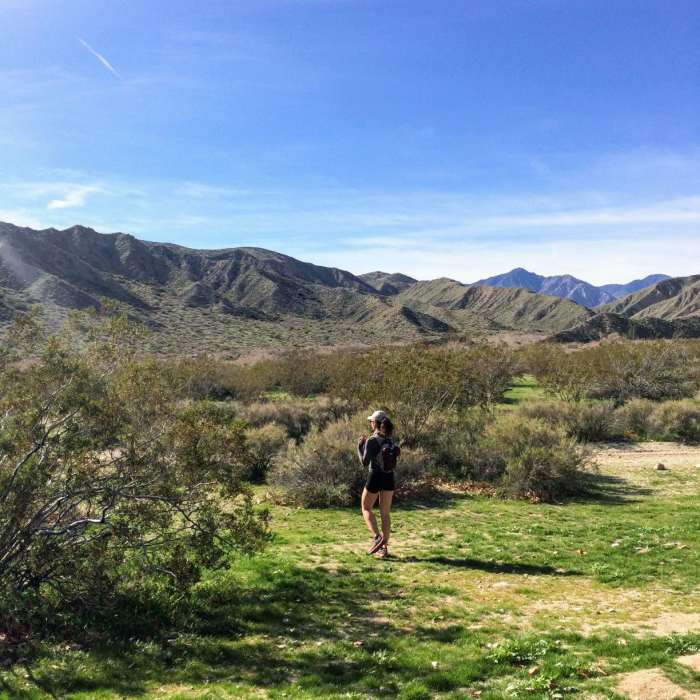 Near Mission Creek Lollipop