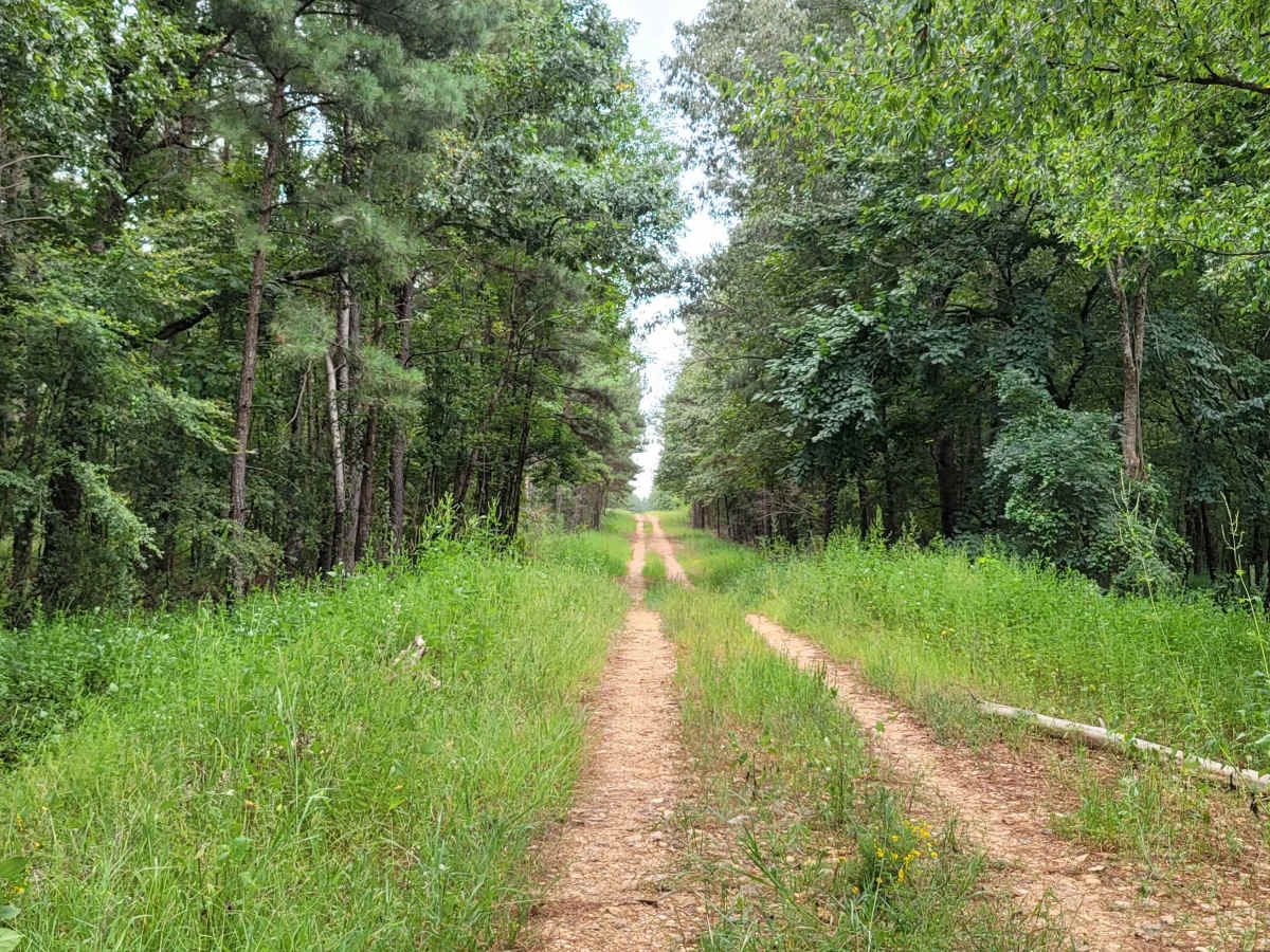 Bois D'Ark WMA from HWY 67 photo 4