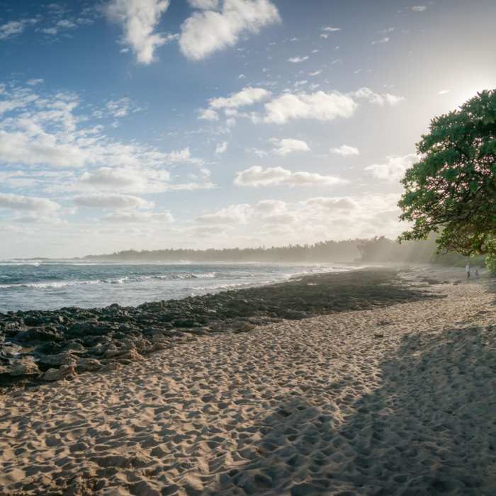 Near Kahuku Shoreline Near Kahuku Shoreline