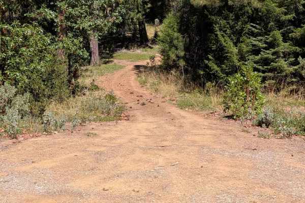 Tule Divide Road - FS 2N53