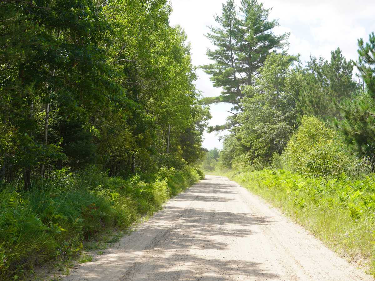 Shepards Trail photo 6
