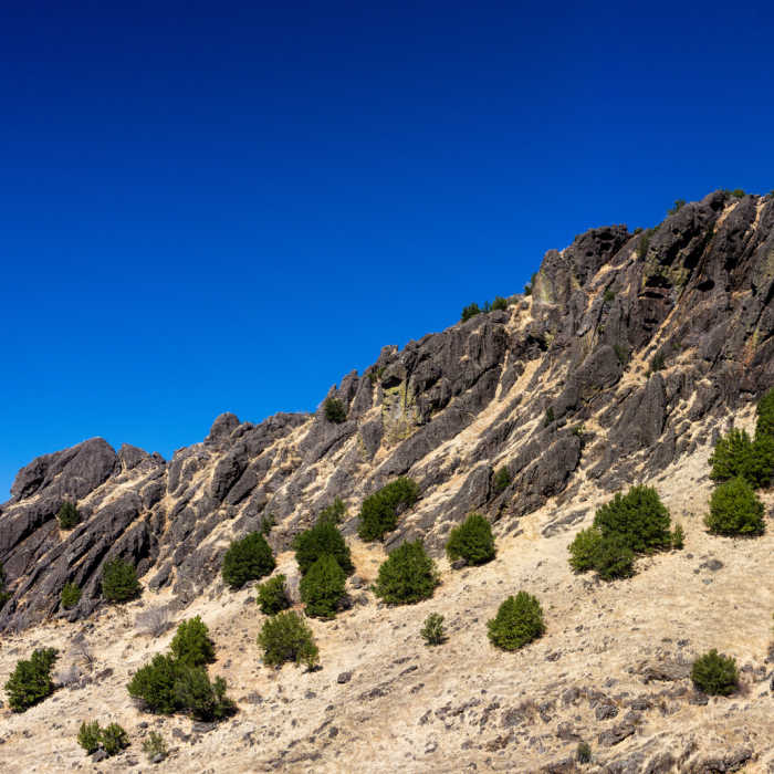 Near Palisades Trail