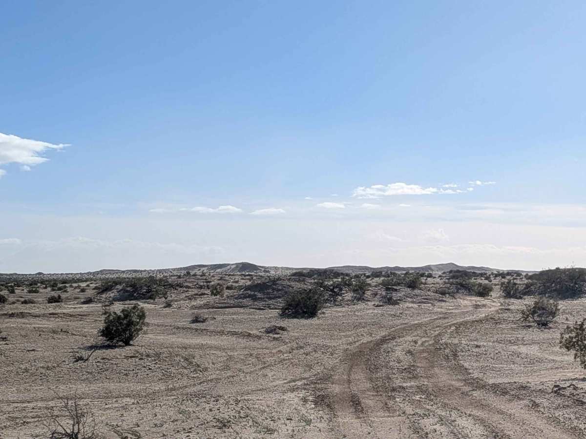 BLM 327 photo 3