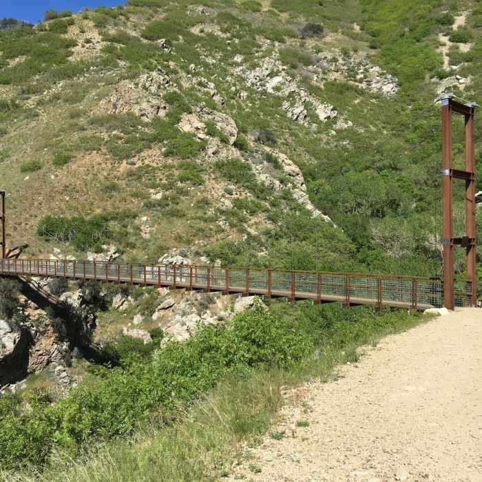 Near Bear Canyon Suspension Bridge