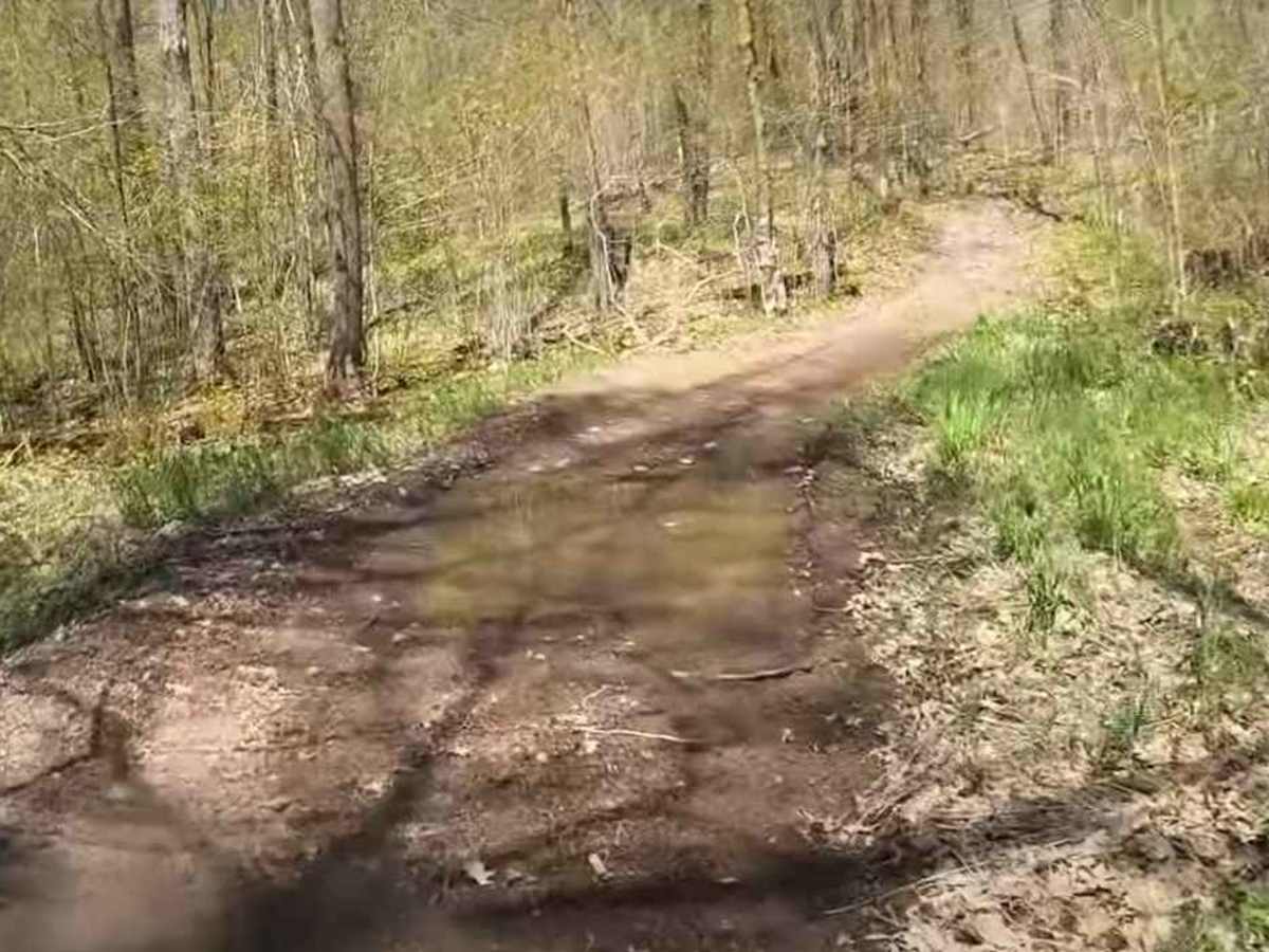 Foxy Loop 2 trail photo