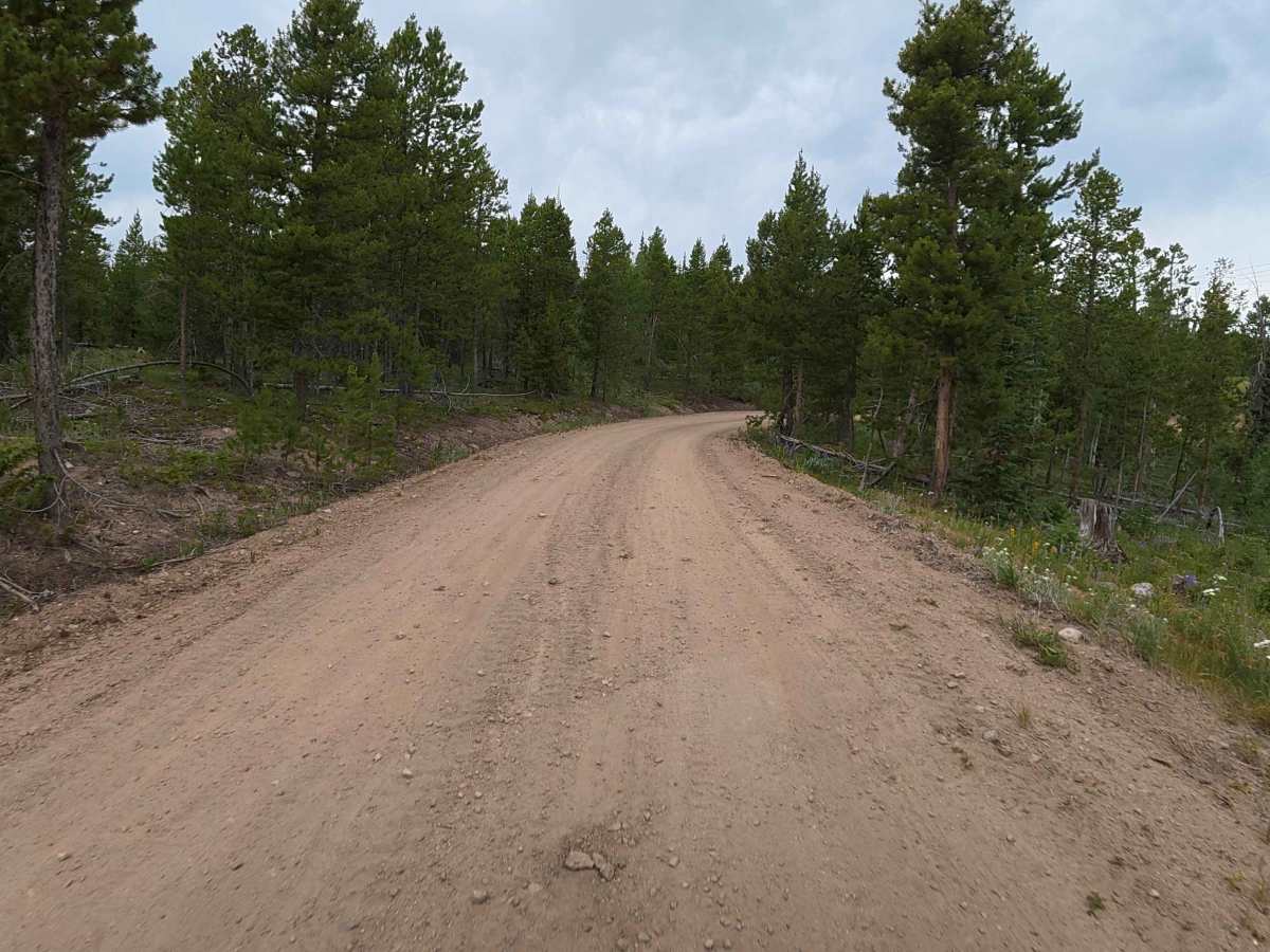 Bobcat Road - FS 185 photo 3