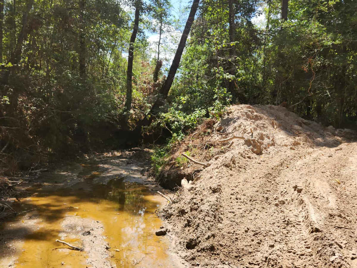 Spring Fed Creek photo 6
