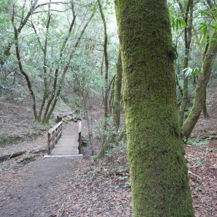 Near Hostel/Grapevine/Creek Trail Loop