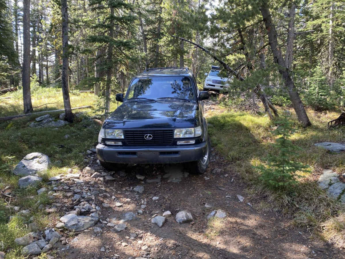 South Baldy Loop trail photo
