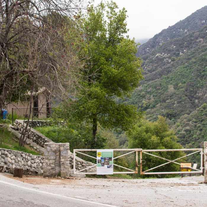 Near Sturtevant Falls