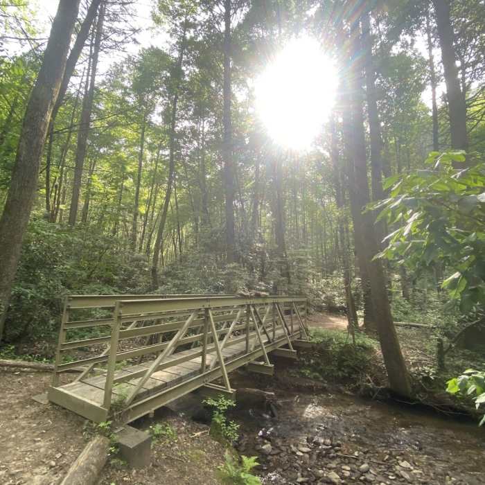 Near Flat Creek Loop #165B