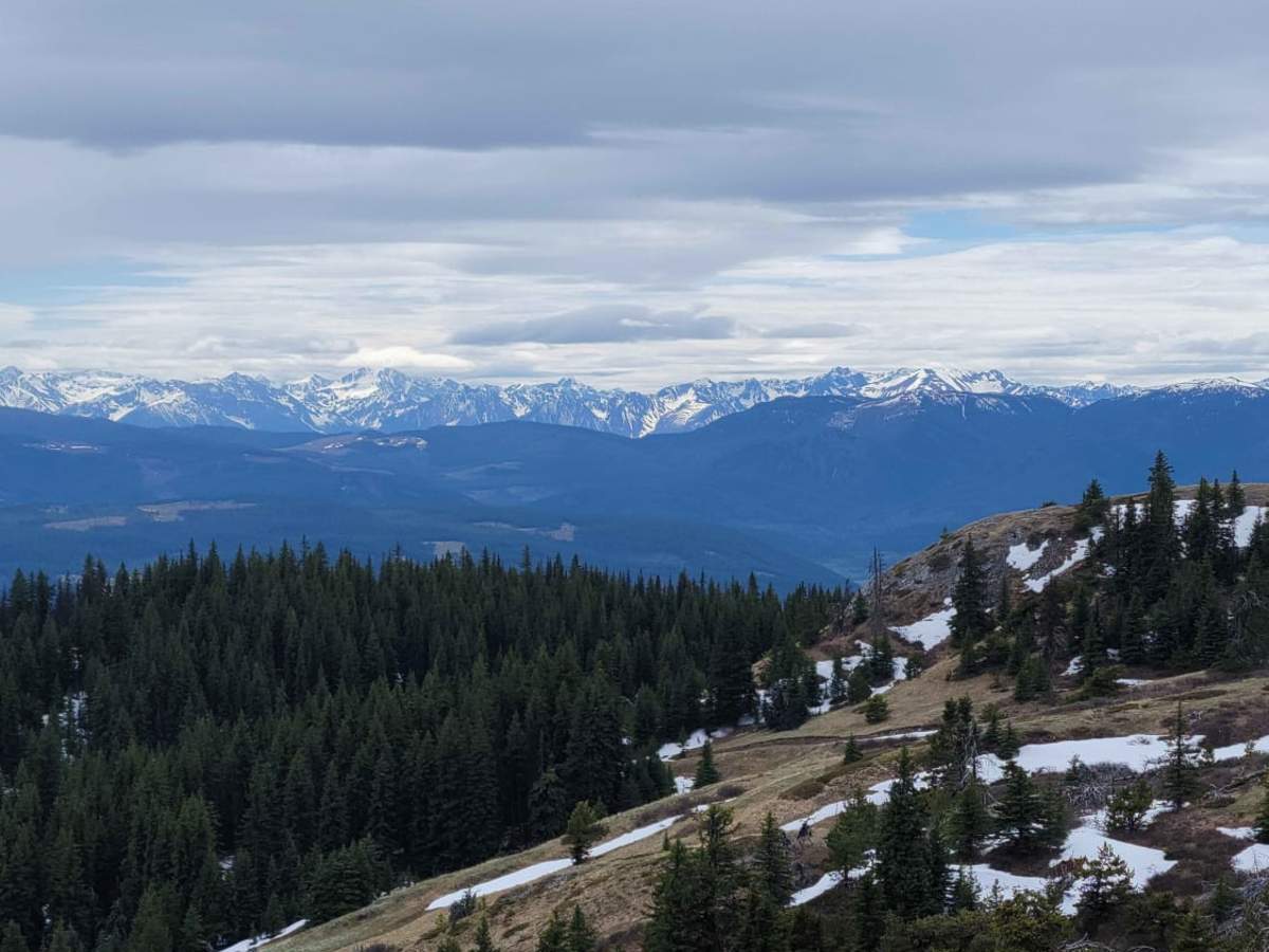 Cornwall Fire Lookout photo 4