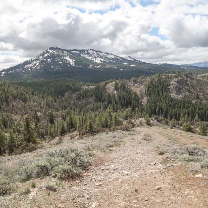 Near Portola "P" Hike