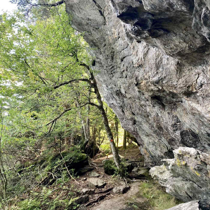 Near Mount Mitchell - Black Mountain Crest Trail #179 Near Mount Mitchell - Black Mountain Crest Trail #179