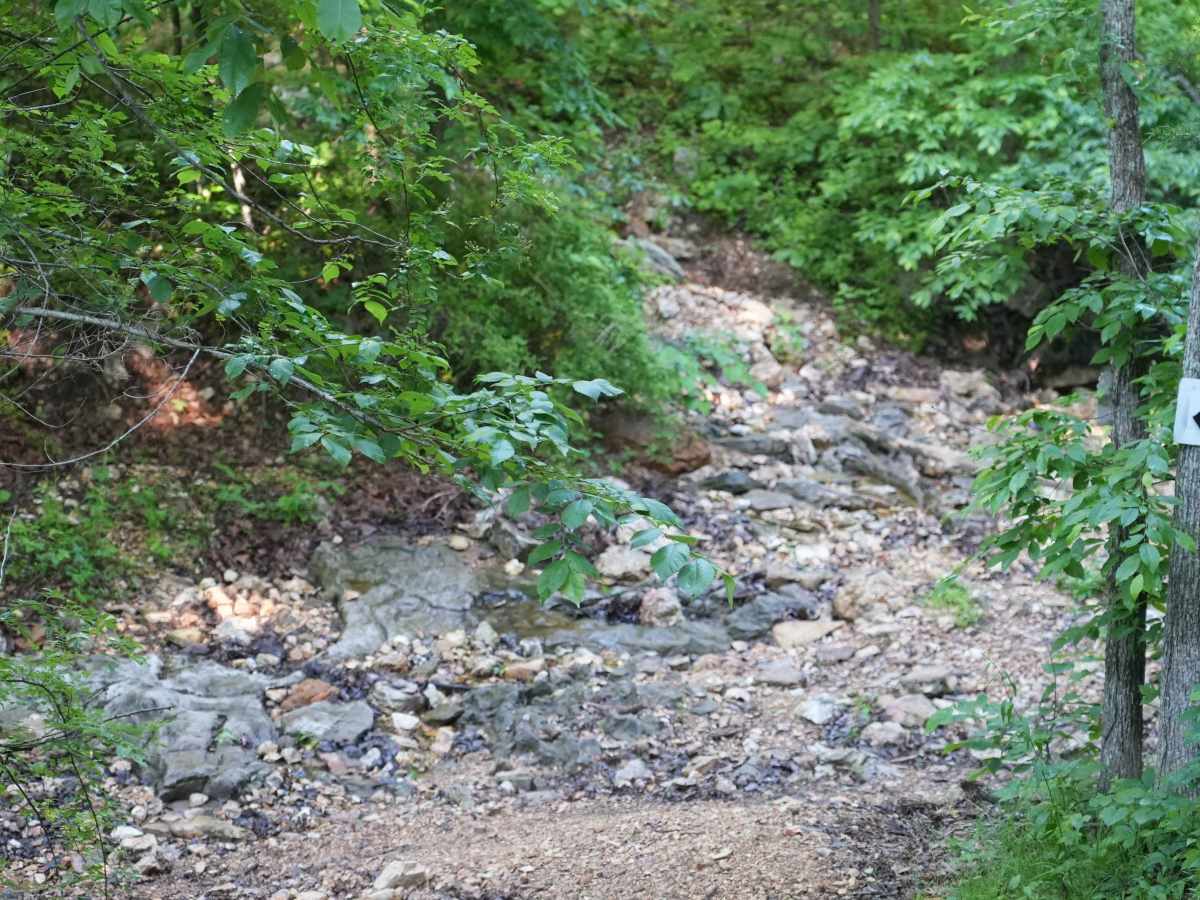 Schneider Hollow photo 4
