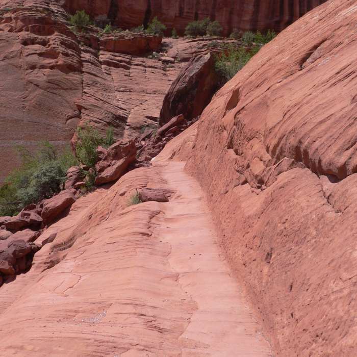 Near White House Trail