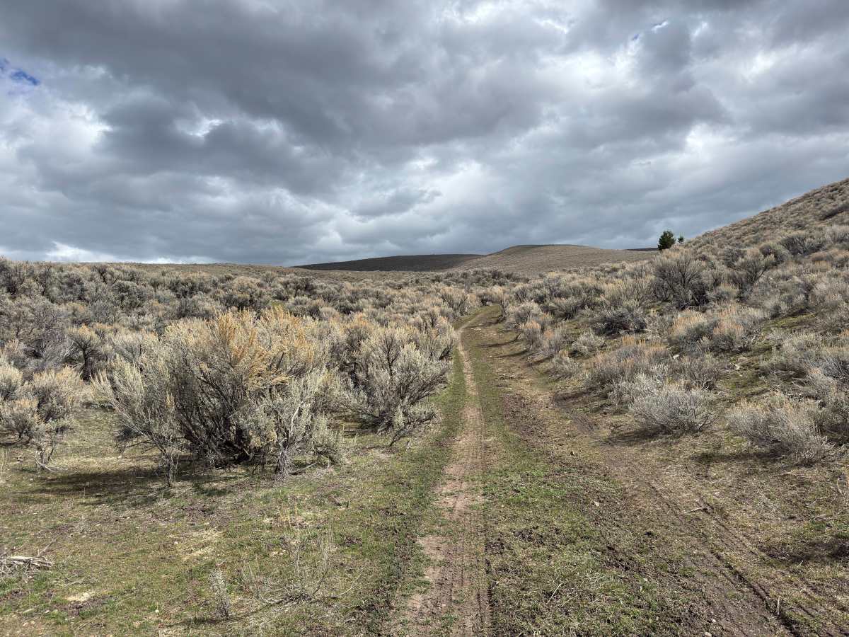 BLM Trail 137 photo 6