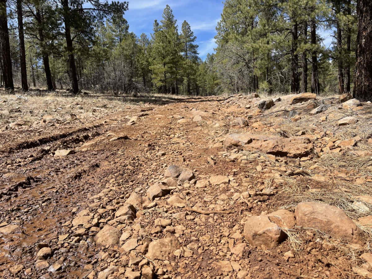 Little Rim Road photo 2