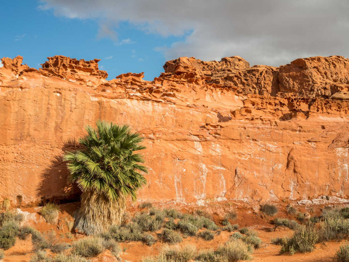 Gold Butte to Little Finland photo 3