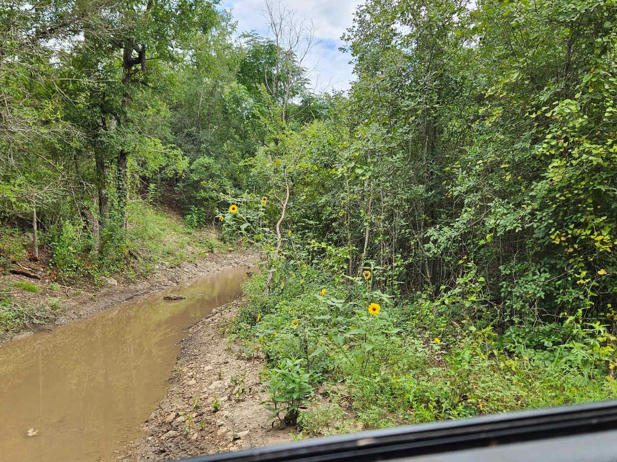 Captain Call Creek photo 2