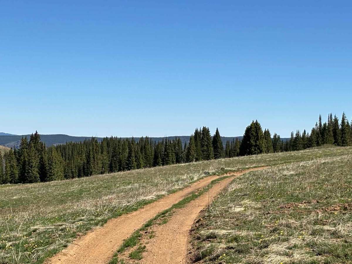 Blair Lake Overlook photo 5