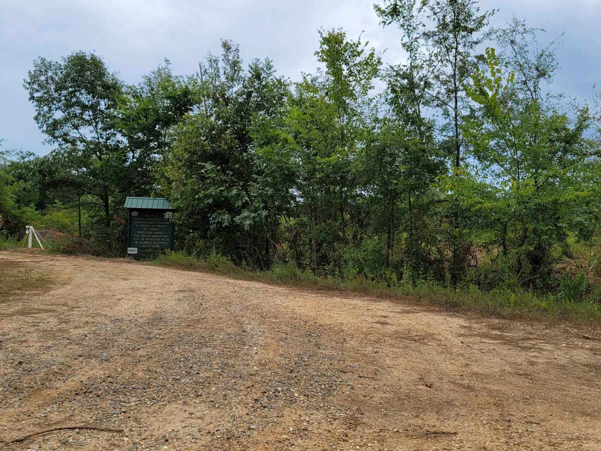 Bois d'Ark Trail back to Interstate 30 photo 6