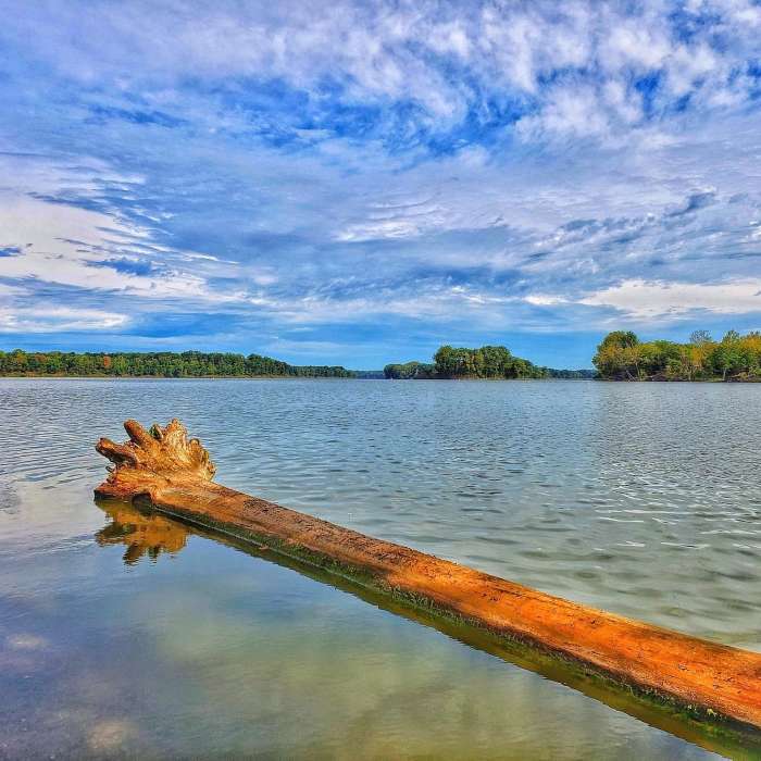 Near Lakeview Trail
