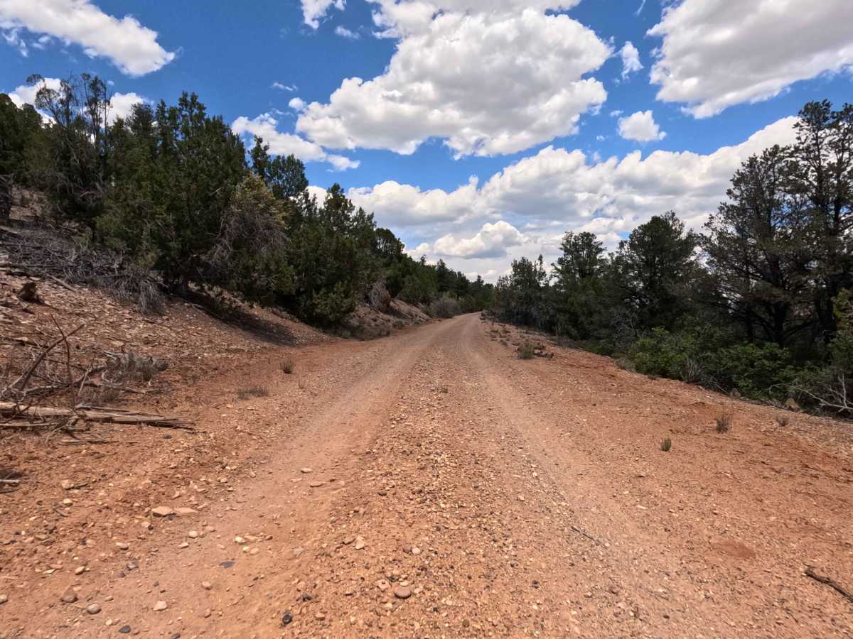 BLM 109G photo 2
