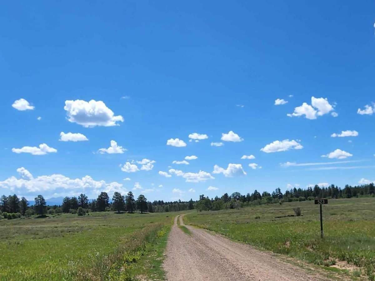 Trimble Road photo 2
