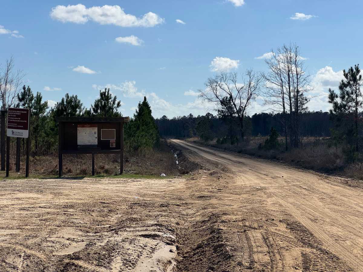 Middleton Lake Road photo 2