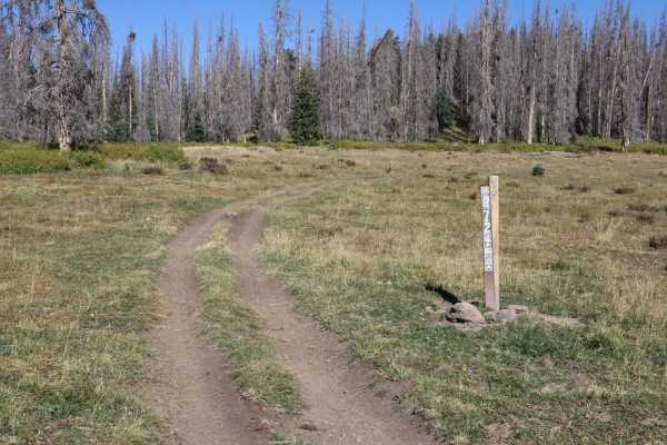 Bennet Creek 1