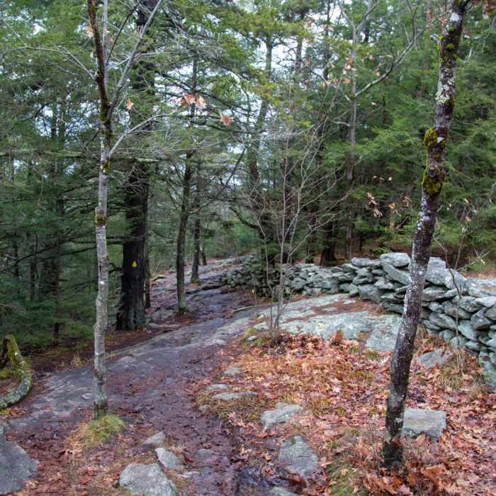 Near Wapack Trail to Mount Watatic and Pratt Mountain Near Wapack Trail to Mount Watatic and Pratt Mountain