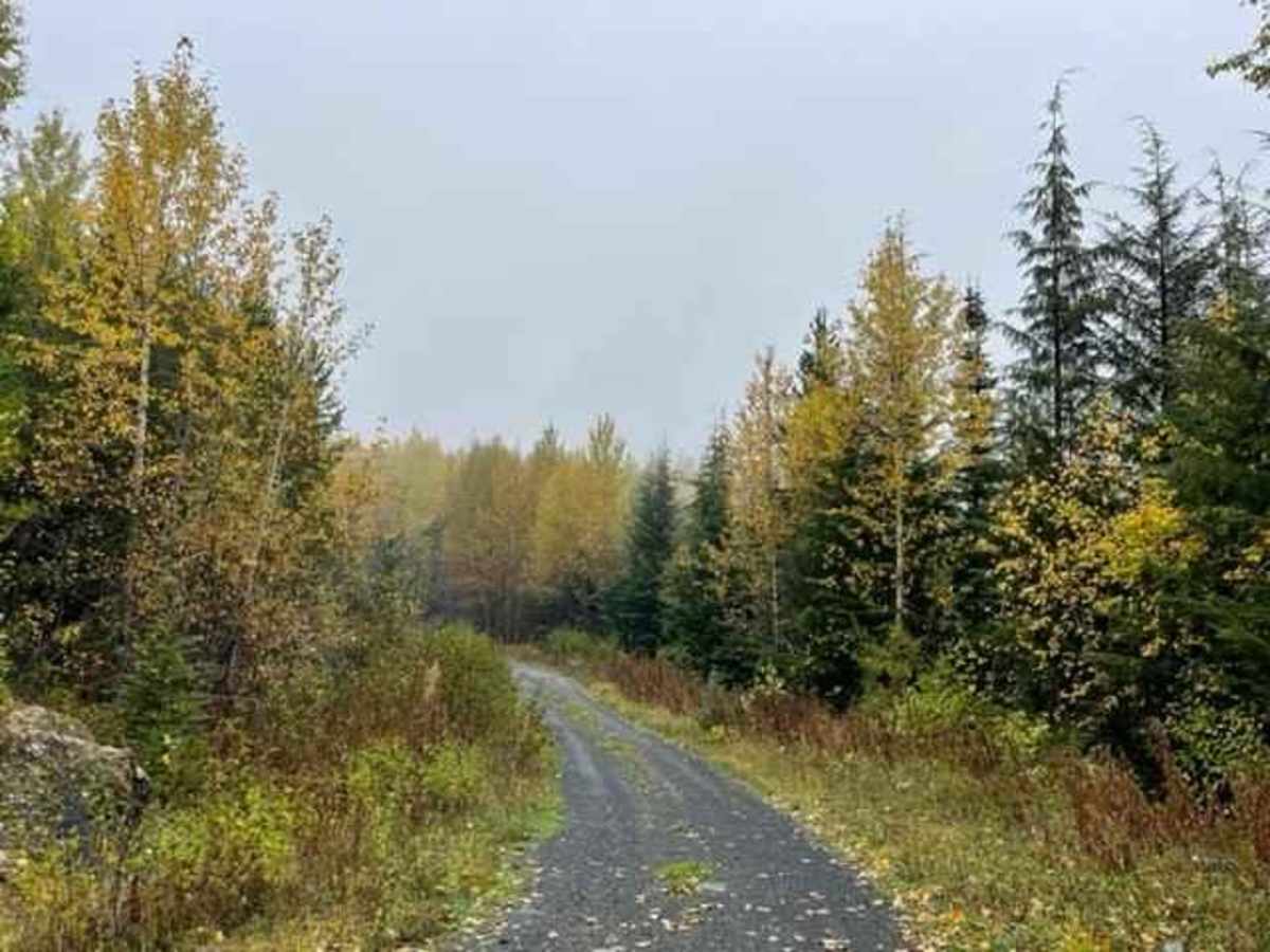 Brown Bear Road photo 2