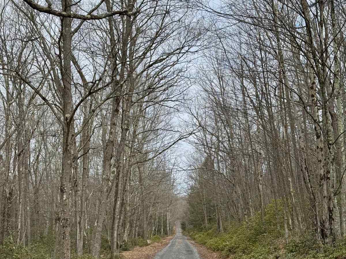 Rock Run Road photo 6