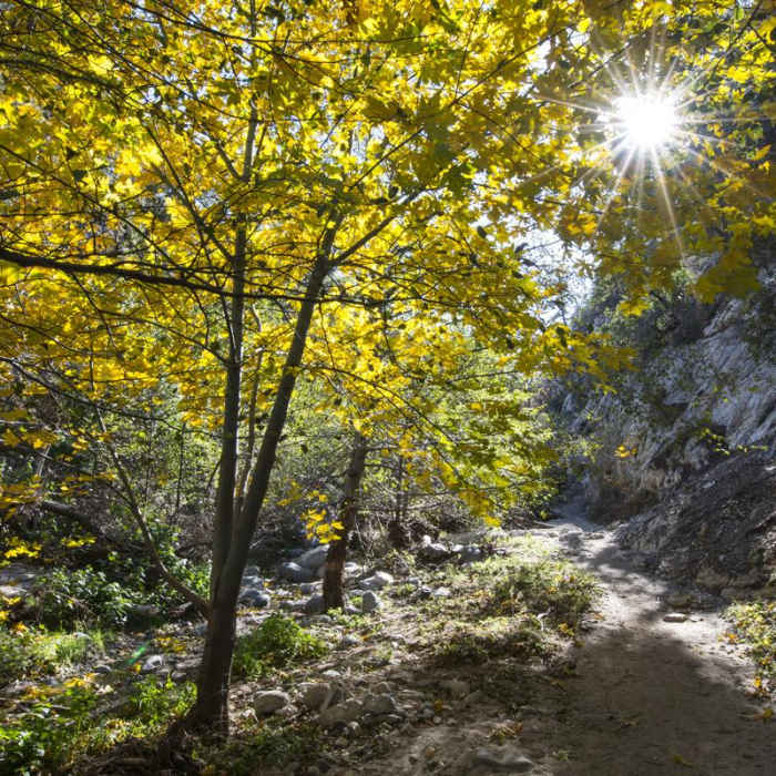 Near Switzer Falls Hike via Gabrielino Trail
