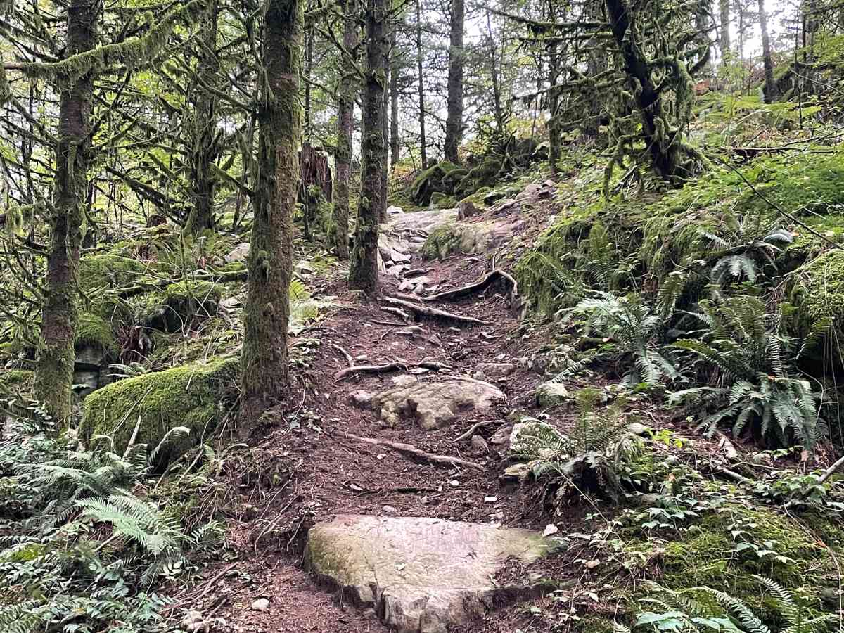 Bailout trail photo