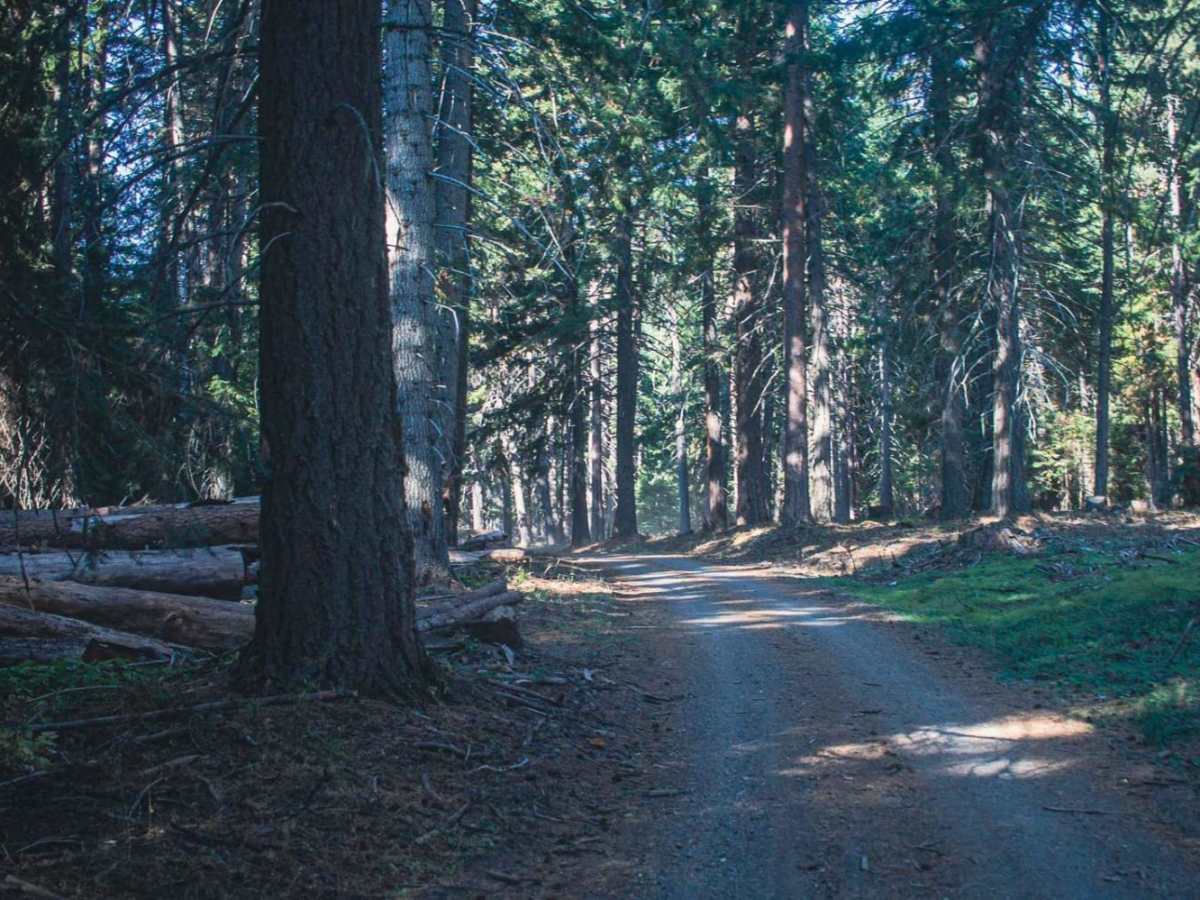 Indian Creek photo 6