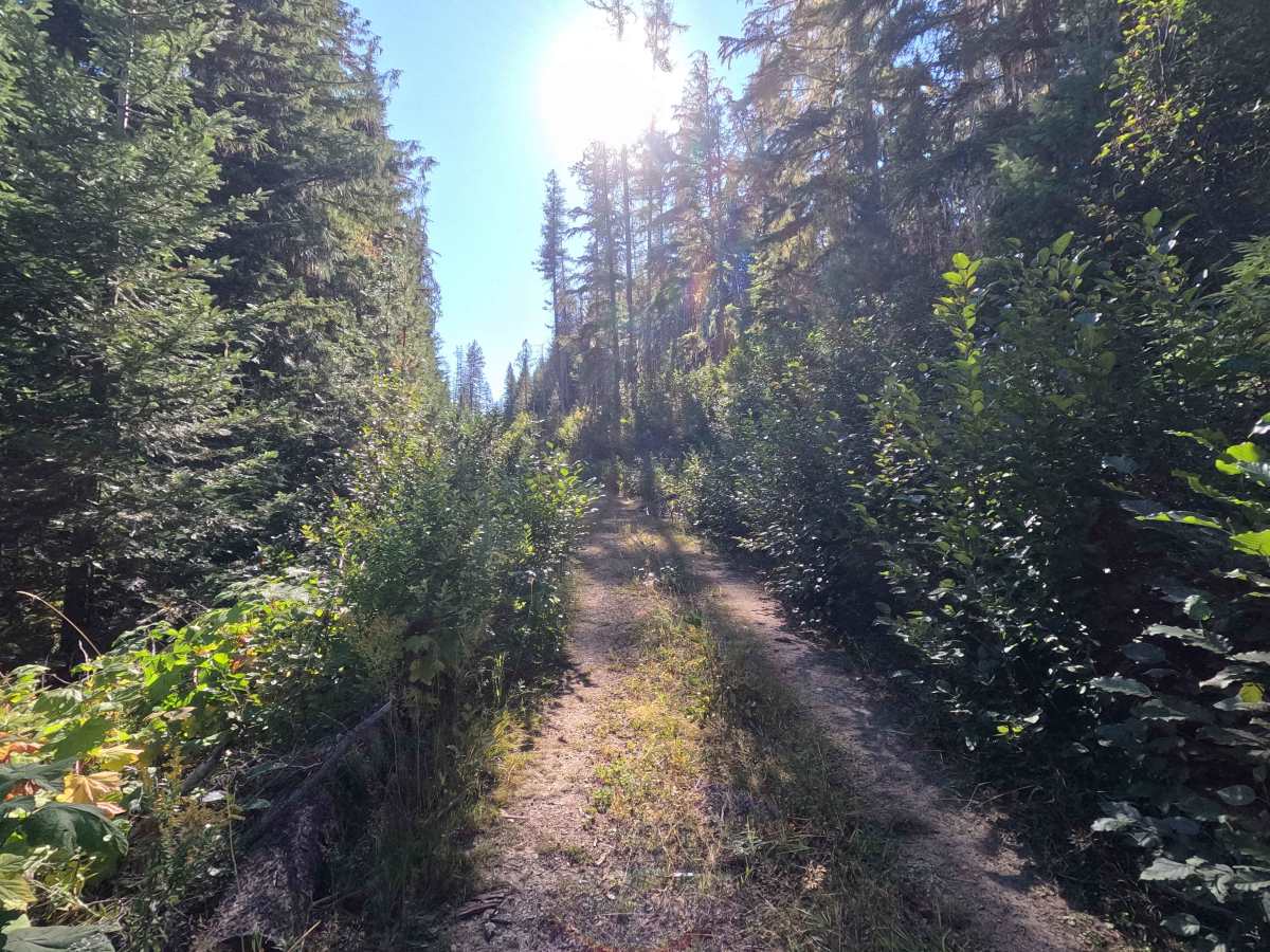 Klahowya Creek N - FS 1075N photo 3