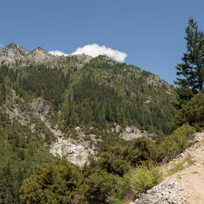 Near Canyon Creek Falls