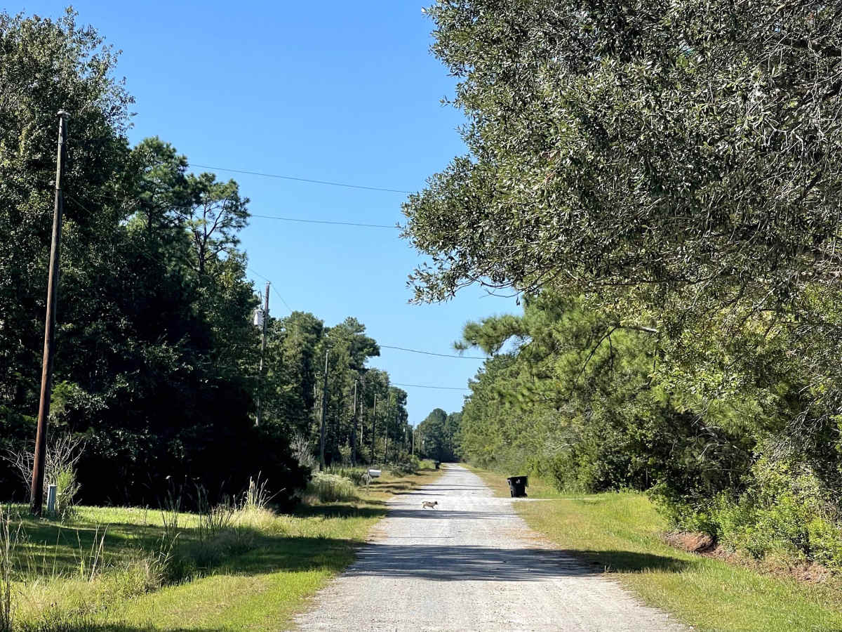 Beech Road trail photo