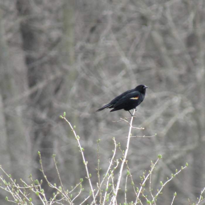 Near Beaver Creek Valley Trail Near Beaver Creek Valley Trail