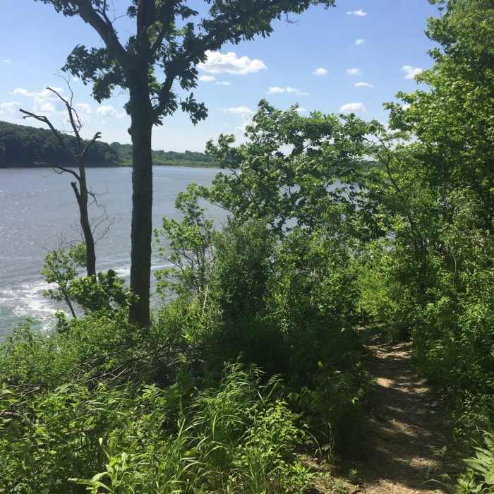 Near Field Campus Trail