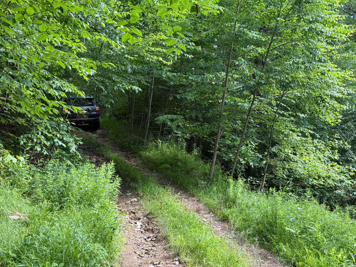 Bad Day to be a Skid Plate photo 5