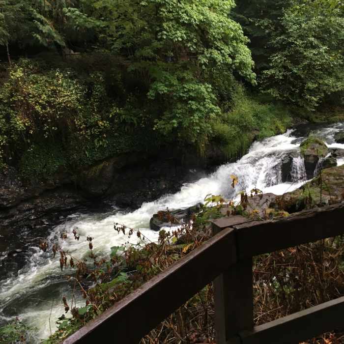 Near Tumwater Falls Loop