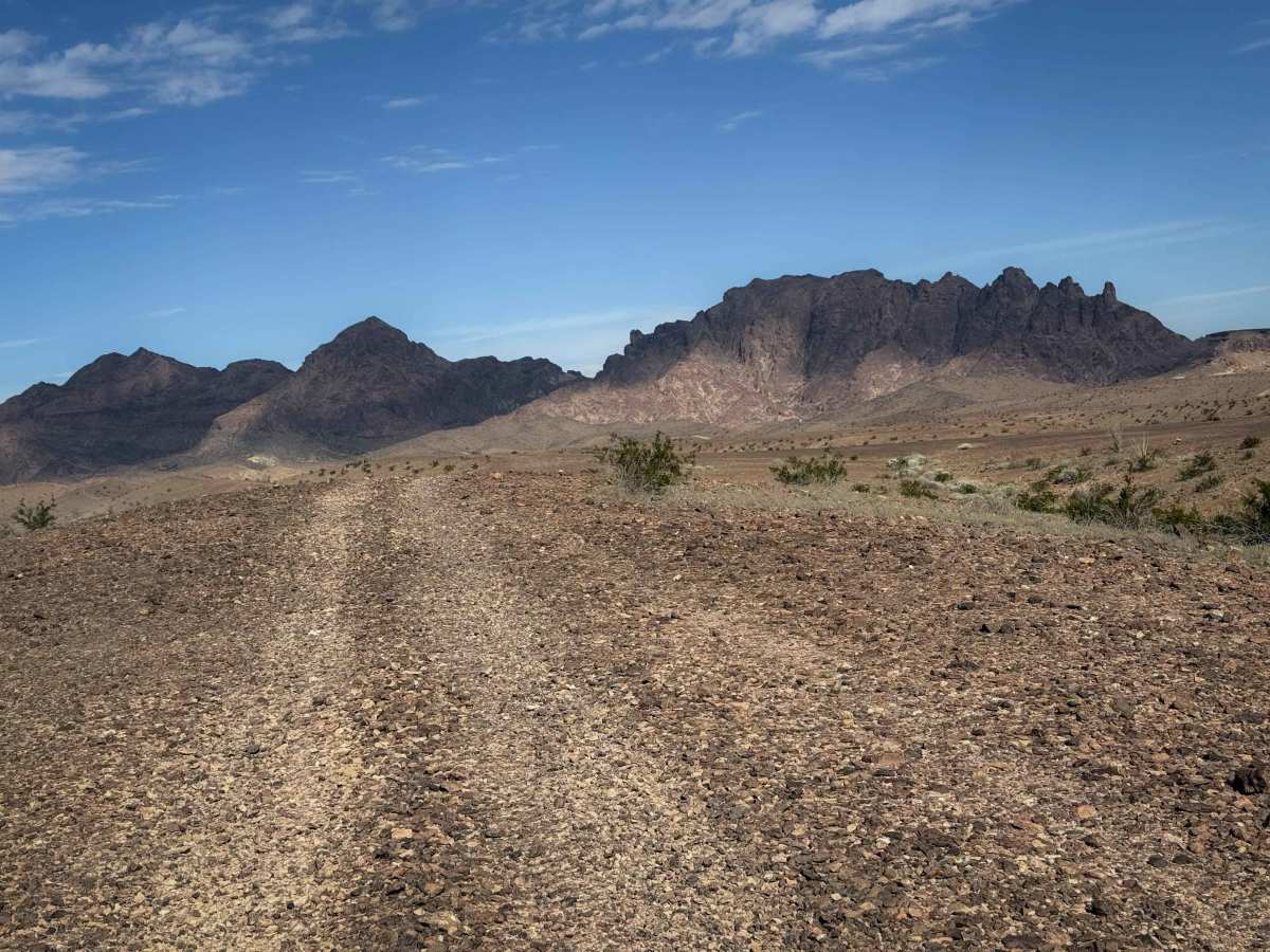 Red Bluff Ridge  trail photo