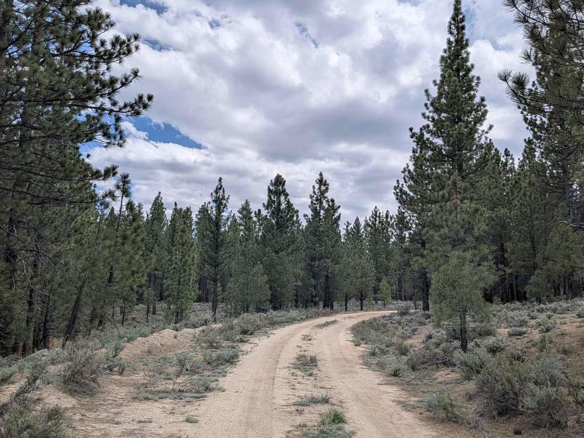 North Rattlesnake - FS 24S33 photo 6